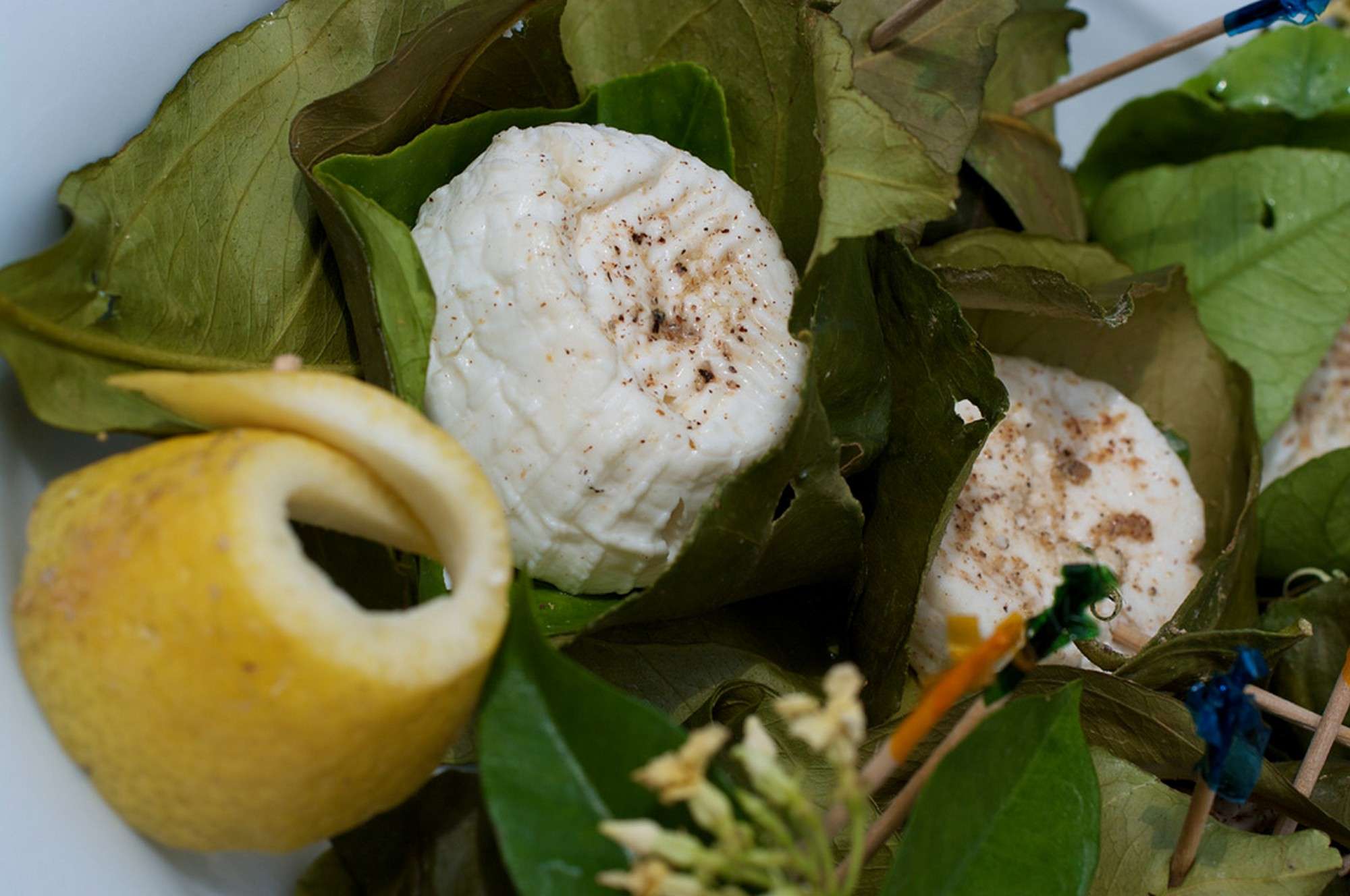 SILVER STAR 2 | Photo 17