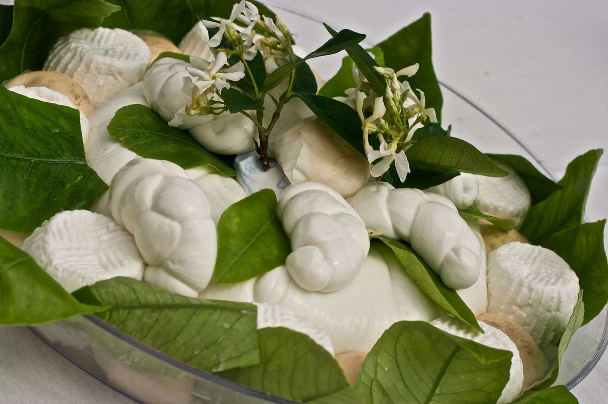 SILVER STAR 2 | Photo 19