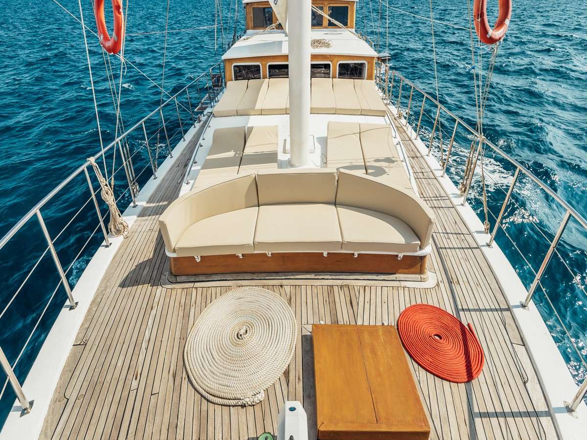 8836brochure4