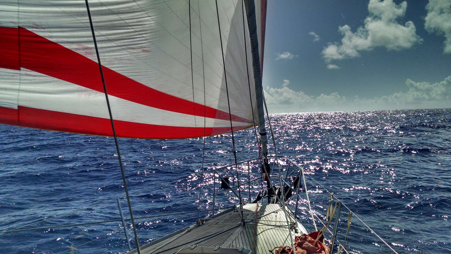 Spinaker Sailing