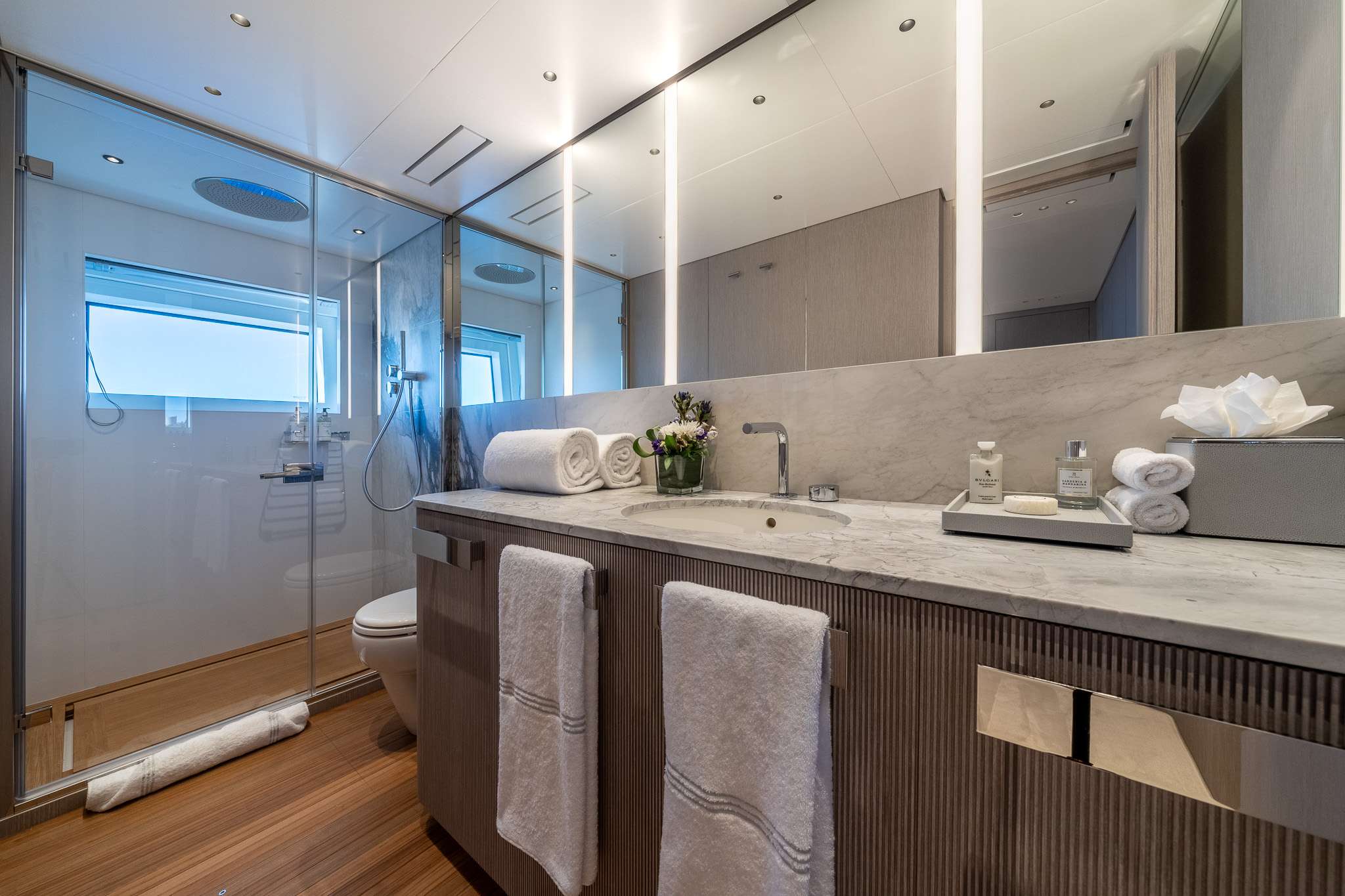 Guest Bathroom with Shower